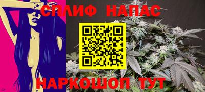 не бодяженный Гай