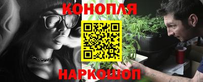 не бодяженный Гай