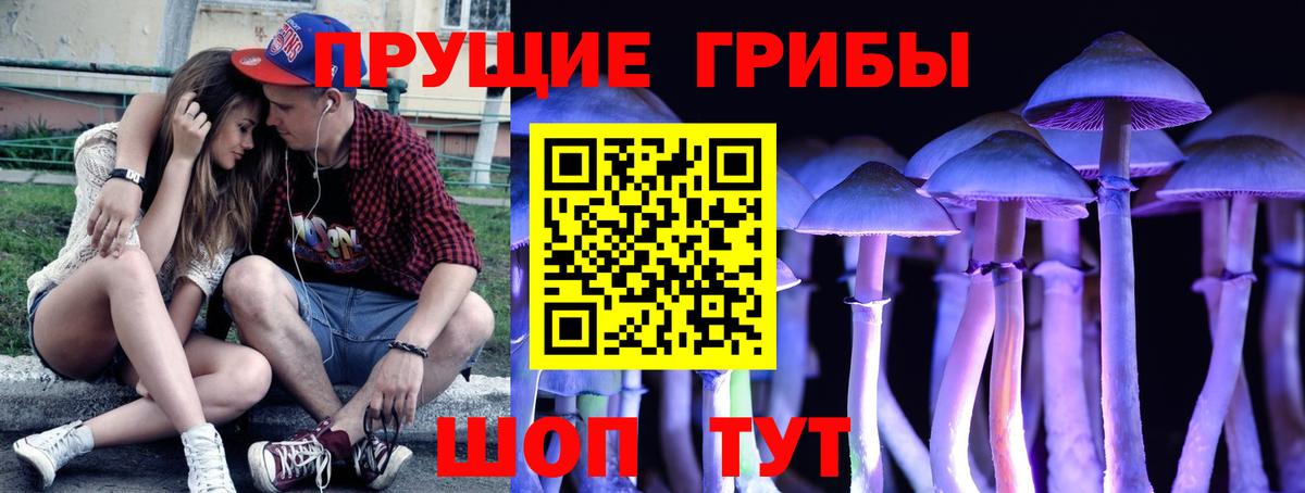 Галлюциногенные грибы Psilocybe Малоярославец