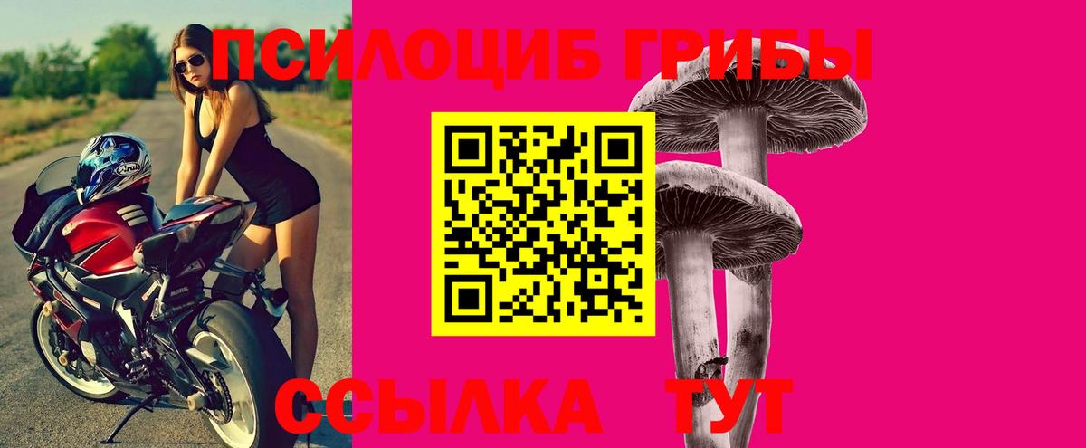 Галлюциногенные грибы мицелий  Псилоцибиновые грибы Cubensis  купить закладку  Малоярославец  Вход с VPN 